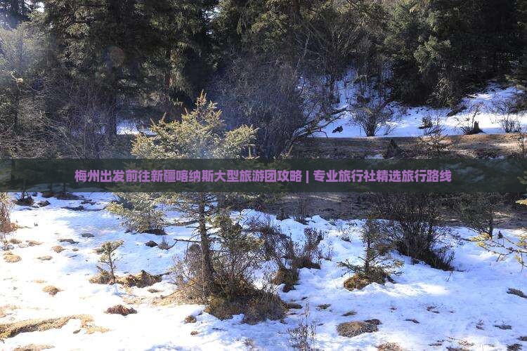 梅州出发前往新疆喀纳斯大型旅游团攻略 | 专业旅行社精选旅行路线
