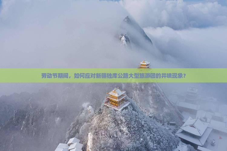 劳动节期间，如何应对新疆独库公路大型旅游团的井喷现象？
