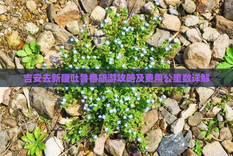 吉安去新疆吐鲁番旅游攻略及费用公里数详解