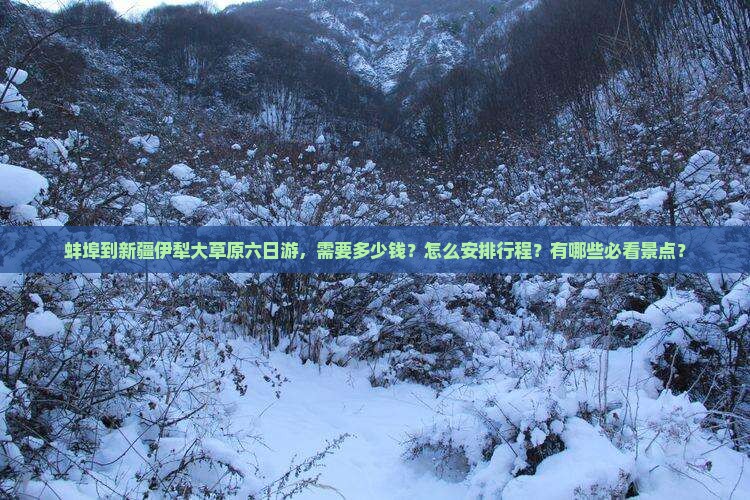 蚌埠到新疆伊犁大草原六日游，需要多少钱？怎么安排行程？有哪些必看景点？