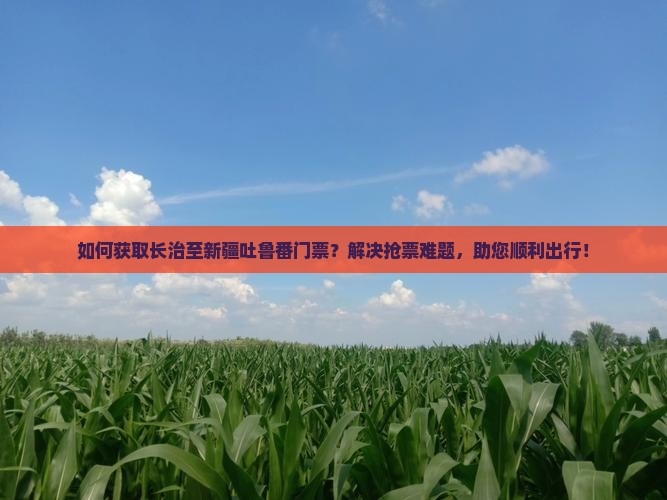 如何获取长治至新疆吐鲁番门票？解决抢票难题，助您顺利出行！