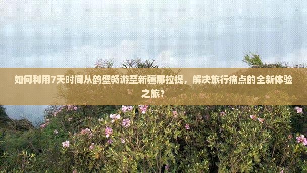 如何利用7天时间从鹤壁畅游至新疆那拉提，解决旅行痛点的全新体验之旅？