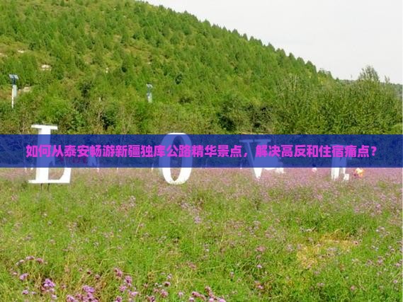 如何从泰安畅游新疆独库公路精华景点，解决高反和住宿痛点？