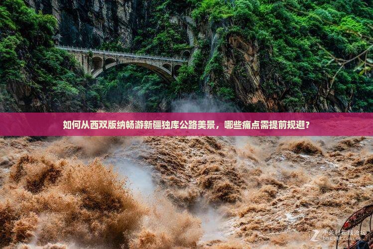 如何从西双版纳畅游新疆独库公路美景，哪些痛点需提前规避？