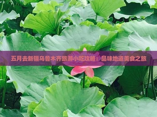 五月去新疆乌鲁木齐旅游小吃攻略：品味地道美食之旅