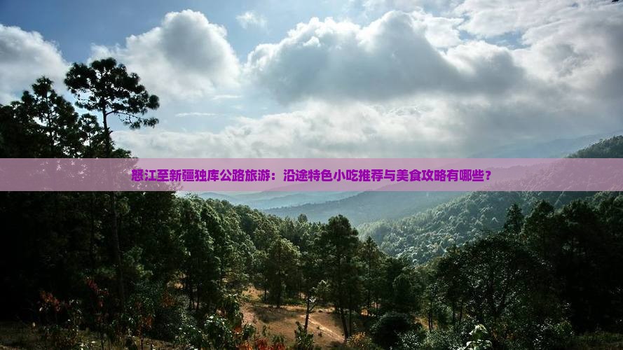 怒江至新疆独库公路旅游：沿途特色小吃推荐与美食攻略有哪些？