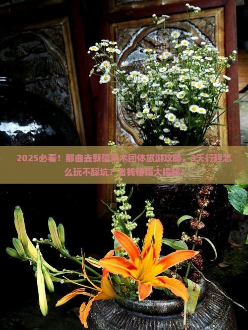 那曲去新疆禾木团体旅游