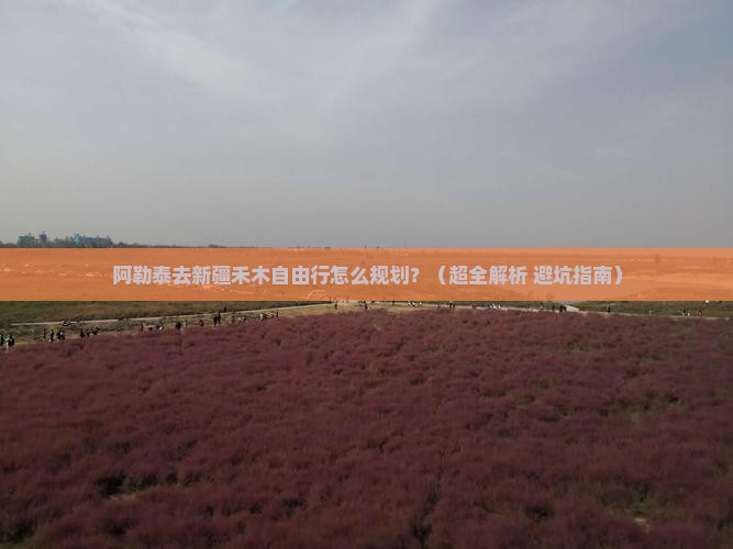 阿勒泰去新疆禾木自由行
