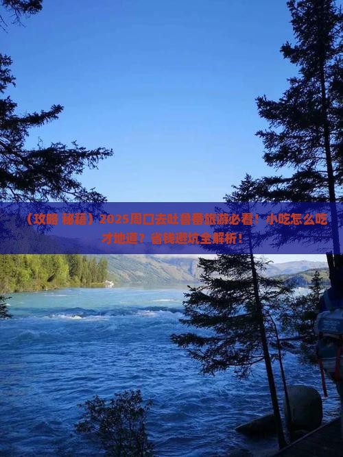 周口去新疆吐鲁番旅游小吃