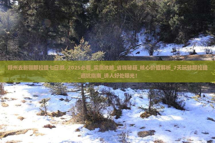 朔州去新疆那拉提七日游
