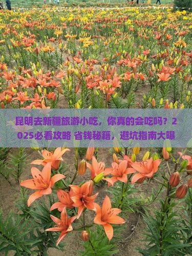 昆明去新疆旅游小吃
