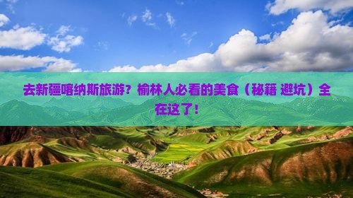 榆林去新疆喀纳斯旅游小吃