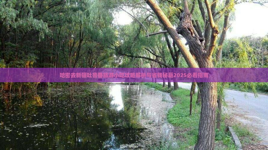 哈密去新疆吐鲁番旅游小吃