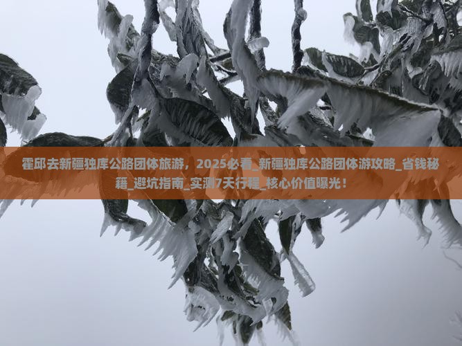 霍邱去新疆独库公路团体旅游
