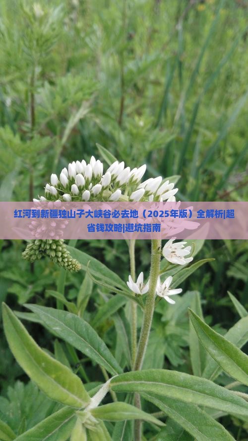 红河到新疆独山子大峡谷必去地