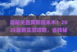 嘉峪关去新疆禾木攻略