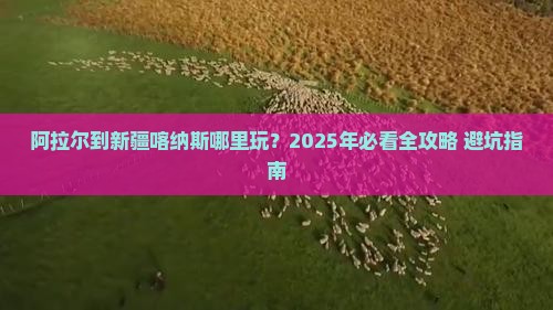 阿拉尔到新疆喀纳斯哪里玩