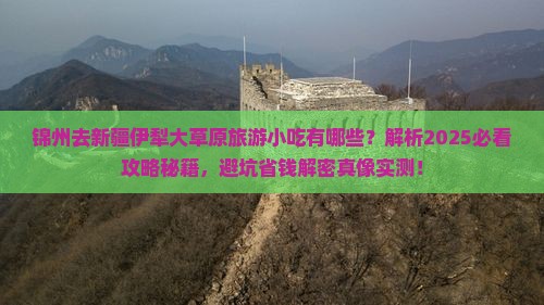 锦州去新疆伊犁大草原旅游小吃