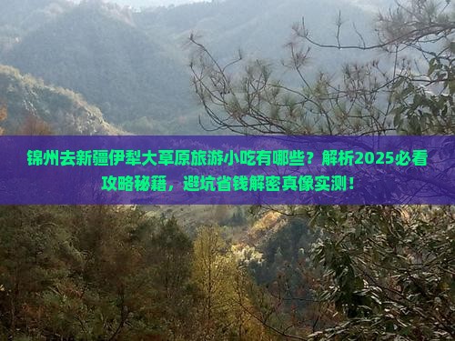 锦州去新疆伊犁大草原旅游小吃