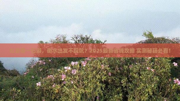 衡水到新疆吐鲁番一日