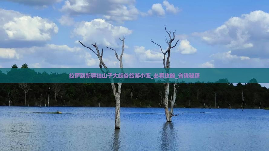 拉萨到新疆独山子大峡谷旅游小吃