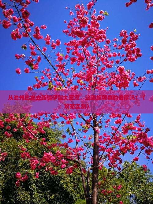 池州到新疆伊犁大草原景点
