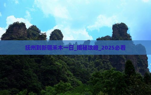 抚州到新疆禾木一日