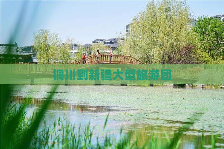 铜川到新疆大型旅游团