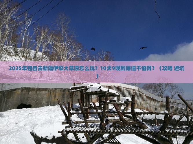 钦州到新疆伊犁大草原个人游