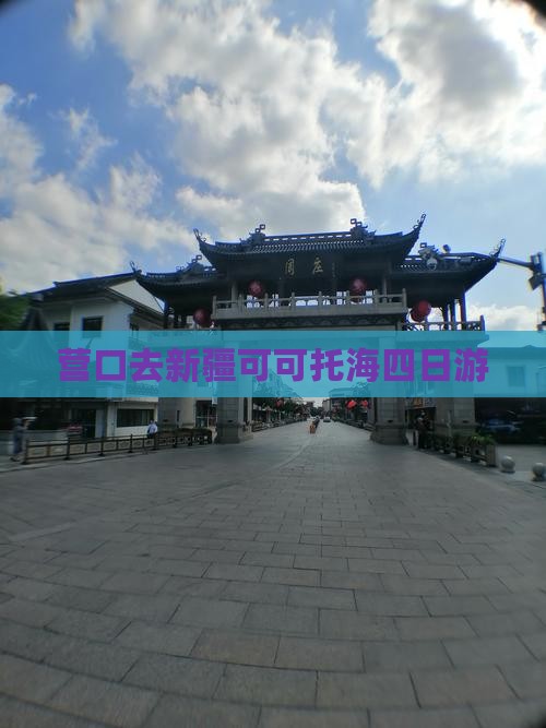 营口去新疆可可托海四日游