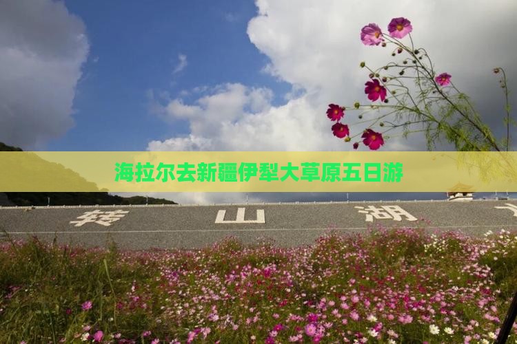 海拉尔去新疆伊犁大草原五日游