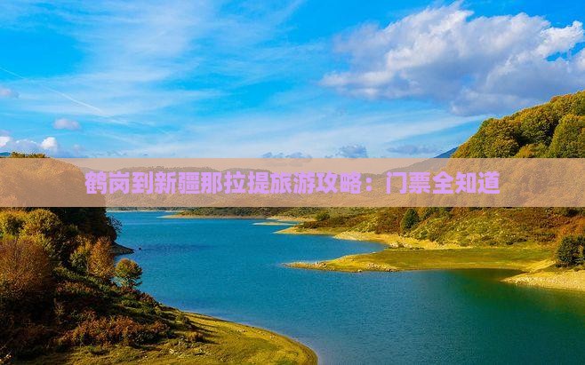 鹤岗到新疆那拉提门票