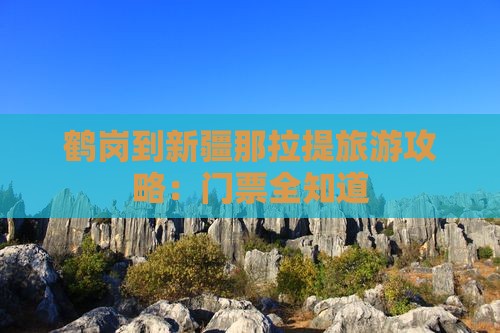 鹤岗到新疆那拉提门票