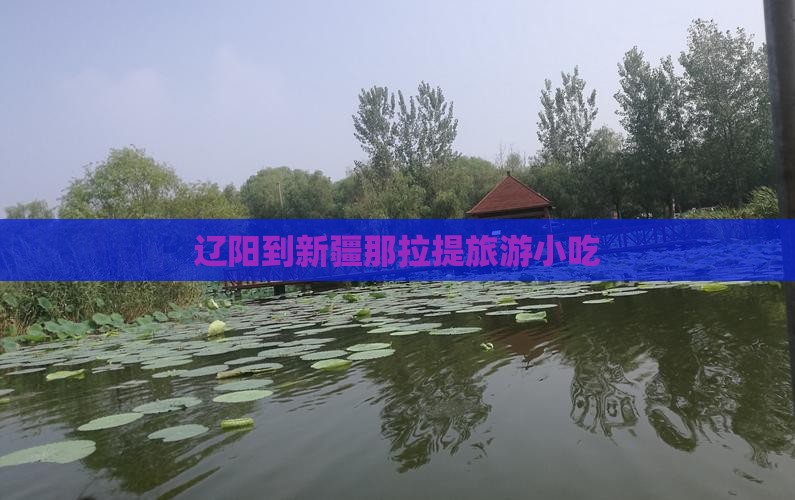 辽阳到新疆那拉提旅游小吃