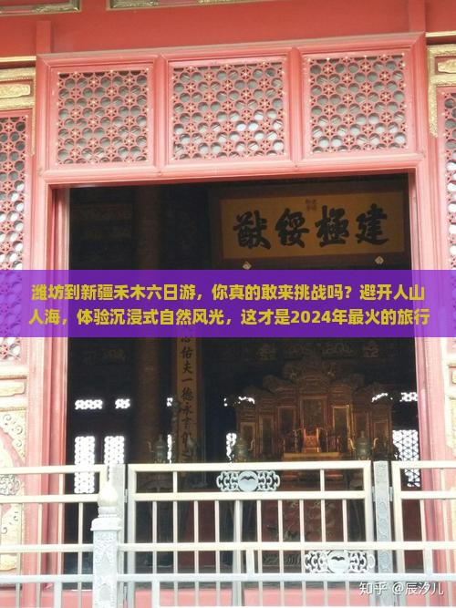 潍坊到新疆禾木六日游