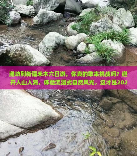 潍坊到新疆禾木六日游