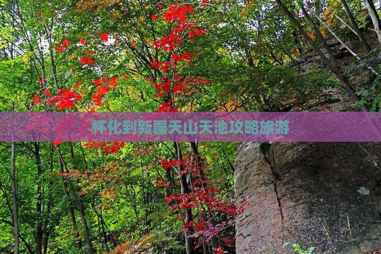 怀化到新疆天山天池个人游