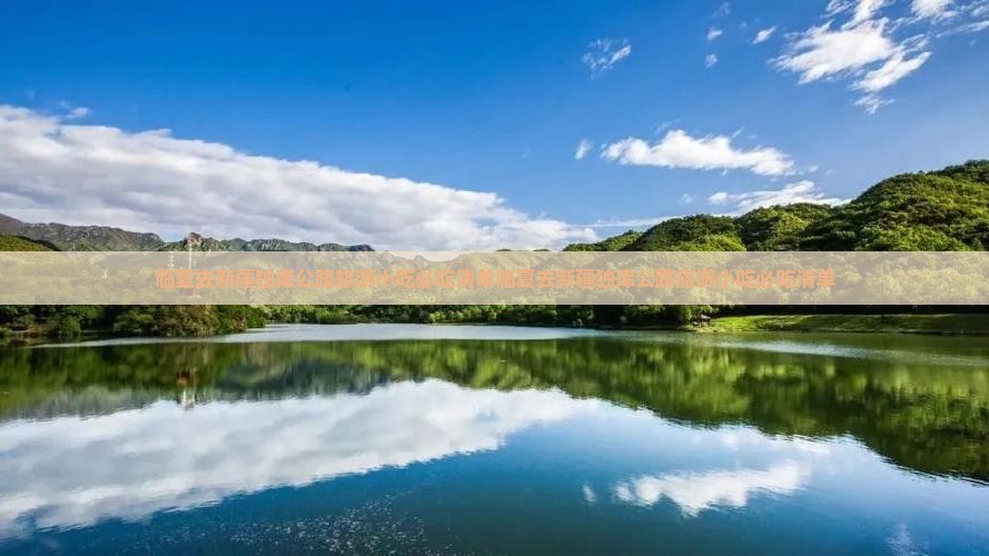 临夏去新疆独库公路旅游小吃