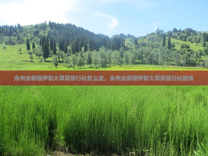 永州去新疆伊犁大草原旅行社