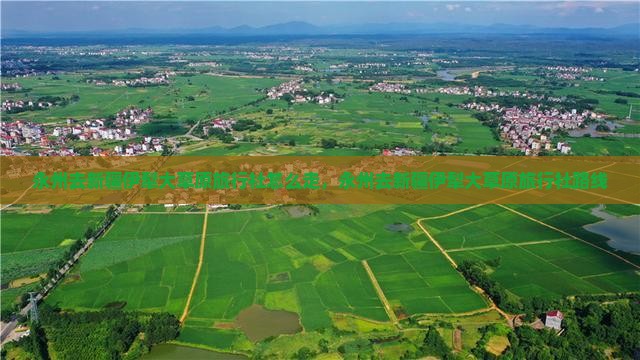 永州去新疆伊犁大草原旅行社