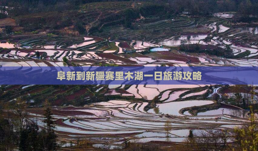 阜新到新疆赛里木湖一日