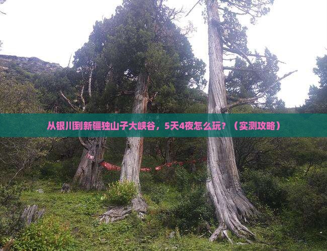 银川去新疆独山子大峡谷门票