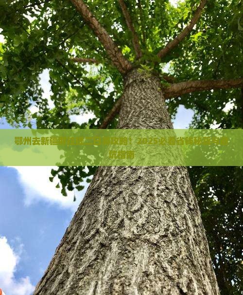 鄂州去新疆那拉提二日游