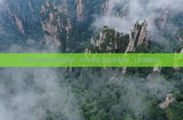 佳木斯到新疆喀纳斯大型旅游团