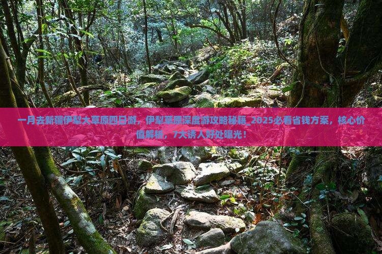 一月去新疆伊犁大草原四日游