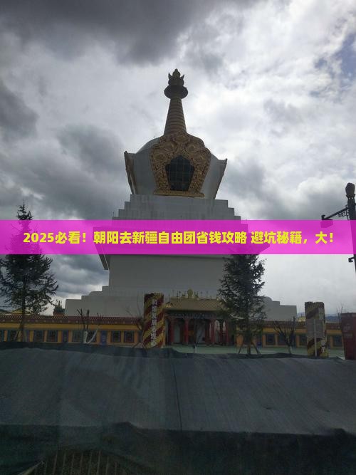 朝阳去新疆自由团