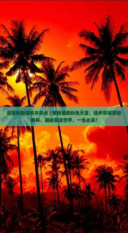 昌吉到新疆禾木景点