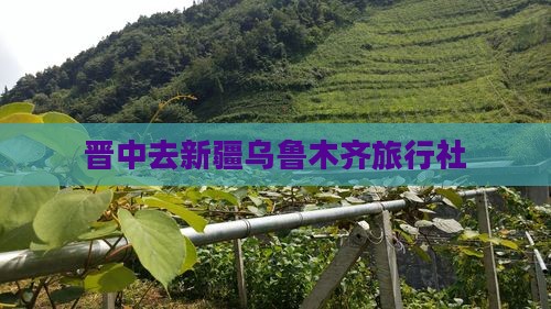 晋中去新疆乌鲁木齐旅行社