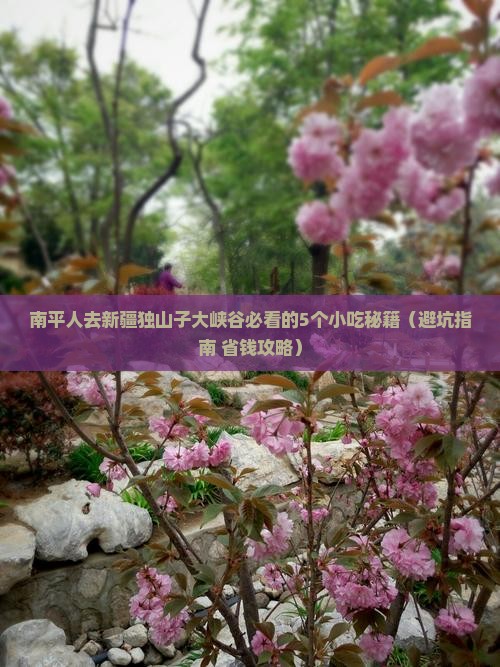 南平去新疆独山子大峡谷旅游小吃
