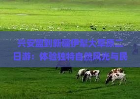 兴安盟到新疆伊犁大草原二日游